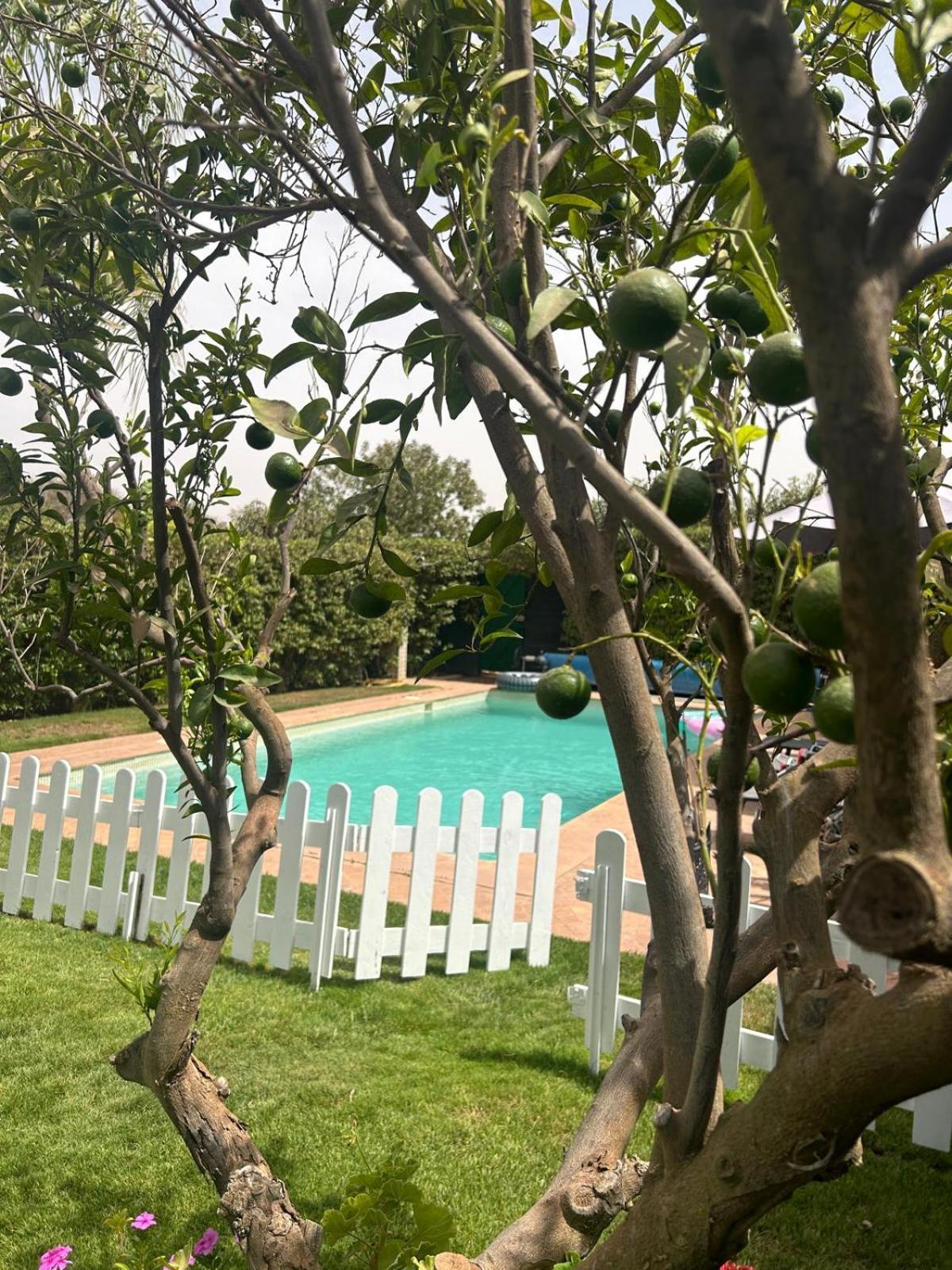 Villa Orangeraie Agadir Zewnętrze zdjęcie
